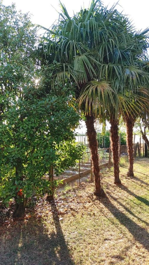 B&B Al Vecio Morer San Dona di Piave Ngoại thất bức ảnh